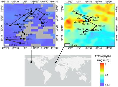 Microbial respiration in contrasting ocean provinces via high-frequency optode assays
